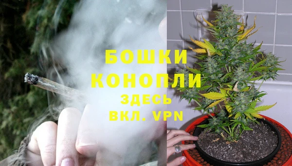 ECSTASY Янаул