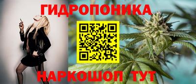 СК Апрелевка